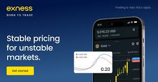 Comprehensive Exness Forex Broker Review Unveiling Opportunities and Risks