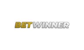 Exploring Betwinner A Comprehensive Guide to Online Betting